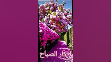 اذكار الصباح #اكسبلور #تيك_توك #دويتو #quran #دعاء #حالات_واتس #دعاءمستجاب #صباح_الخير #لايك