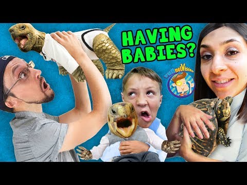 WE'RE HAVING MORE BABIES!  FV Family SCREAMINGLY FUNNY Vlog