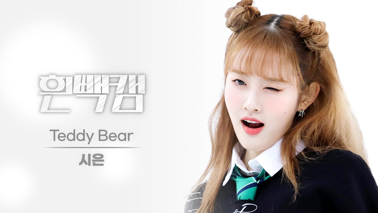 シウン「Teddy Bear」公式Fancamのサムネイル
