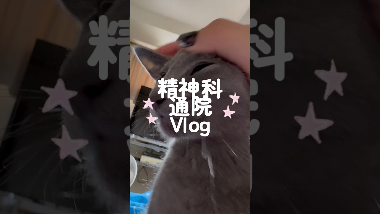 精神科通院の日│猫と過ごす休日Vlog🐈‍⬛ #てんかん vlog #精神科通院 #通院 #猫のいる暮らし #日常 #日常vlog #スカルパンダ #ロシアンブルー #自分らしく生きる