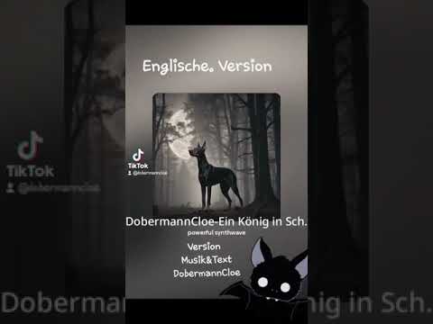 DobermannCloe - Ein König 👑 in schwarz #doberman #love