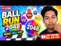 main game ball run 2048