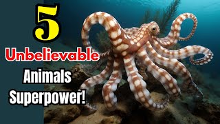 5 Unbelievable Animals with Astonishing Abilities | Wildlife Wonders!