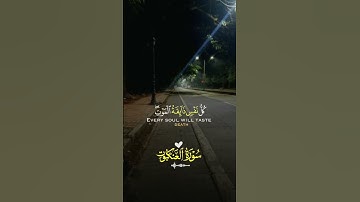 #القرآن #القرآن_الكريم #قران_كريم #قرآن #القارئ_احمد_إشكال #ارحقلبك #راحة_نفسية #اكتب_شي_تؤجر_عليه