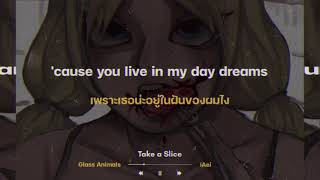 Take a Slice - Glass Animals | แปลไทย | @iaei2487