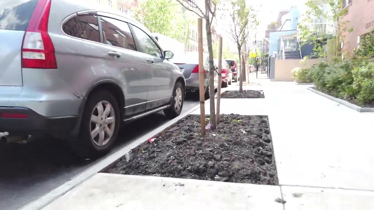 CAMBERLING AVE, The Bronx, Walking New York City