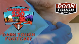 2024 Cocodona Chat | Foot Care with Darn Tough