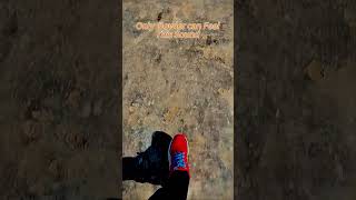Best sound for Bowler 🥰🥰