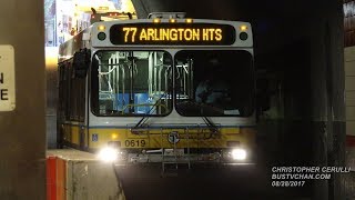 MBTA BUSES AT HARVARD STATION UNDERGROUND BUS STATION NEW FLYERS AND NEOPLANS