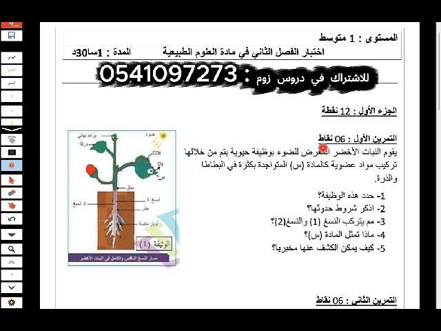 1AM 2025 sciences