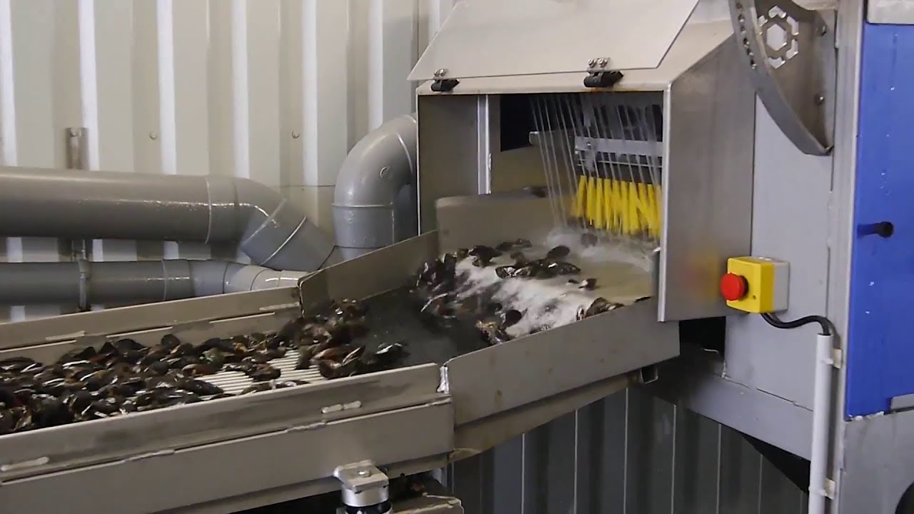 youtube-video-thumbnail