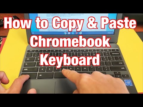 Chromebook: How to Copy & Paste w/ Keyboard Shortcut