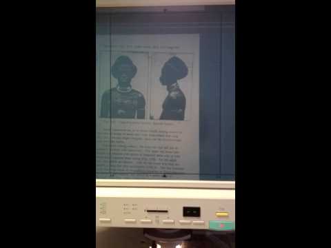 Microfiche. Gunther Tessmann.
