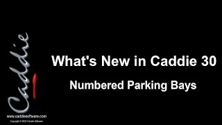 Caddie 30 Numbered Parking Bays