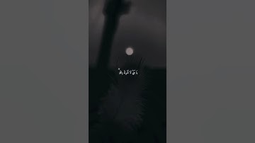 تلاوة من سورة لقمان، للشيخ: ياسر الدوسري.#اكسبلور #haveitoldyoulatelythatiloveyou #دويتو
