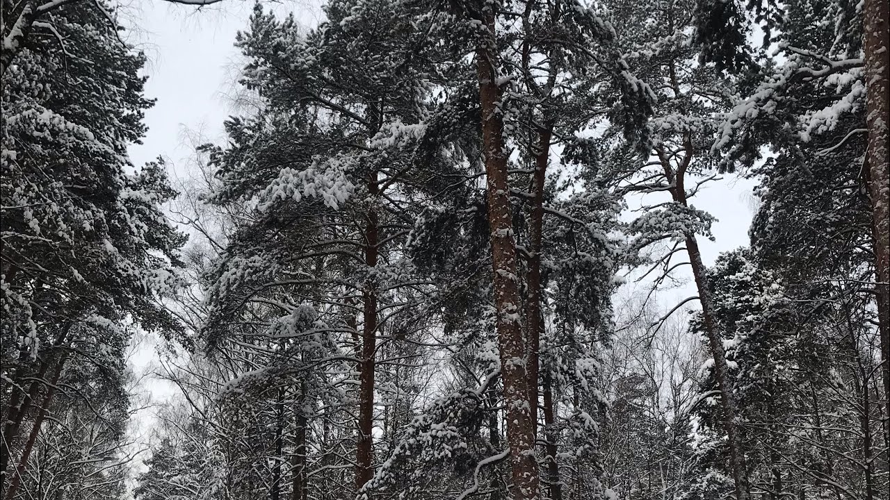 Фильмы обязательные к просмотру/10 фильмов/сериалов - YouTube