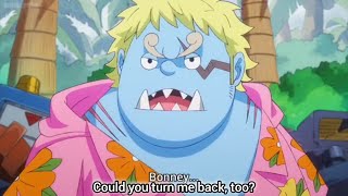 Bonney, Could You Turn Me Back,Too? Jimbe Funny Moment One Piece Episode 1094 English Sub