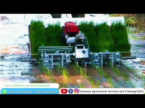 Kilimo Cha Mpunga Mashine Ya Kupanda Mpunga Motorized Rice Transplanter Machine Kilimo Rice Paddy