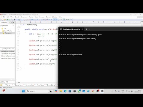 Unary Operator Part2 | Practical Examples || Must Watch ||
