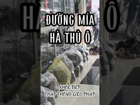 ĐƯỜNG MÍA HÀ THỦ Ô MÓN QUÀ TỪ THIÊN NHIÊN: Chữa tiểu đường, huyết áp thấp... - youtube