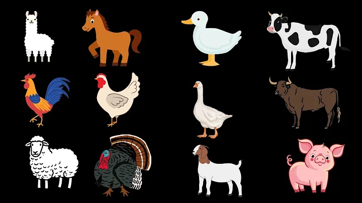 Farm Animals | Old MacDonald | The Picture Show For Kids