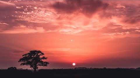 تلاوة رائعة من سورة يوسف بصوت مميز