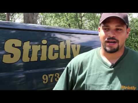 strictly auto glass bloomfield new jersey