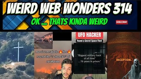 weird web wonders 314