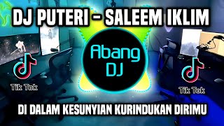 DJ DI DALAM KESUNYIAN KURINDUKAN DIRIMU - PUTERI SALEEM IKLIM REMIX FULL BASS TERBARU 2023