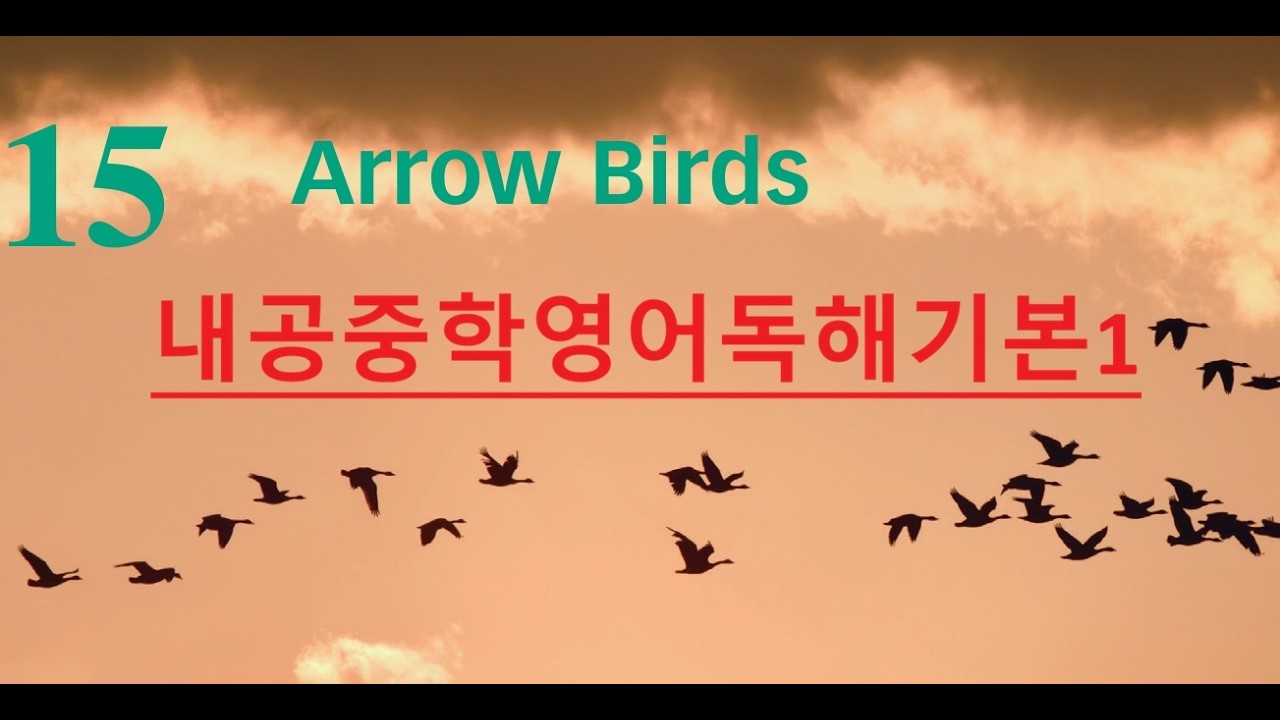 중학수준 독해연습! 영어독해기본1 15 Arrow Birds #영어공부 #중등영어 #영어독해#기초영어#korean #english