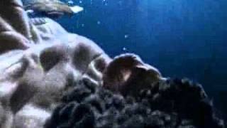 Реклама Ariston Aqualtis - Подводный мир (Underwater World TV Commercial)