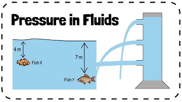 Pressure in Fluids - GCSE Physics Revision