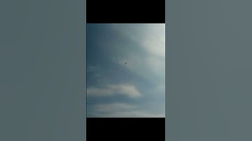 Scratch Build the famous RC pattern flyer model Dirty Birdy Maiden