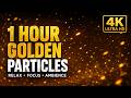 4K Golden Particles Floating Background | 1 Hour Ambient Spark Animation