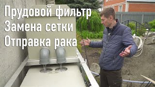 Фильтрация для пруда, Замена сетки на барабанном фильтре, Отправка рака