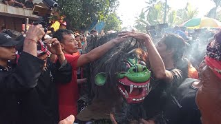 Macan macanan Jaranan Langgeng Budoyo Beran Kidul Live mondoluko