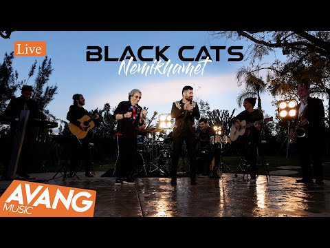 Black Cats - Nemikhamet Live | بلک کتس - نمیخوامت