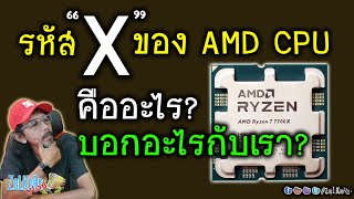 CPU รหัส "X" ของ AMD บอกอะไรกับเรา? ตัวมี X กับไม่มี X แตกต่างกันอย่างไร? (5600X vs 5600 vs 5600G)