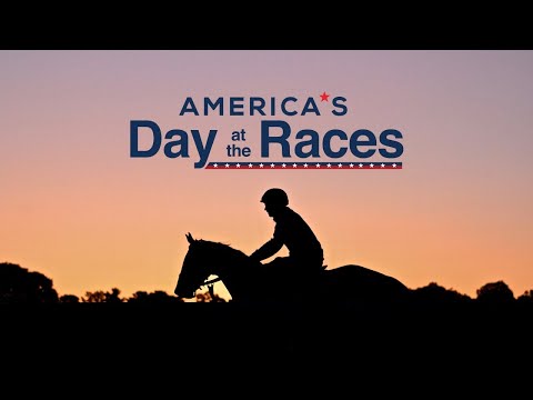 Vidéo: American Walking Poney Horse Race Hypoallergénique, Santé Et Durée De Vie