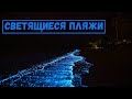 Светящиеся пляжи на Мальдивах. Почему светится берег?