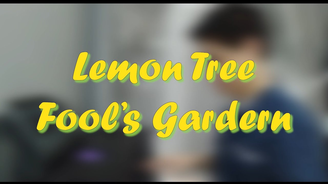 Fool's Garden - Lemon Tree (One Man Band by Kevin)