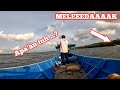 Ledakan ikan kuro bikin ketagihan !!!