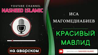 Иса магомеднабиев /мавлид на аварском языке / красивый голос