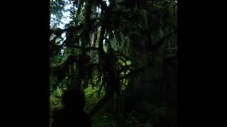 Mount Eerie - Live at the Department of Safety in Anacortes, Wash. Oct. 30th 2006