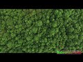 Best Ethiopia Classical Music Classicalmusic Music Meditatemusi Talewgualu Ethiopianmusic Best Ethiopia Classical Music Classicalmusic Music Meditatemusi Talewgualu Ethiopianmusic