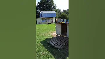 Правильный загон для овец.
