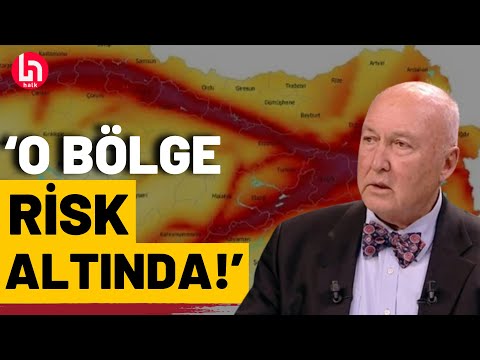 Övgün Ahmet Ercan büyük deprem beklediği riskli yerleri açıkladı!