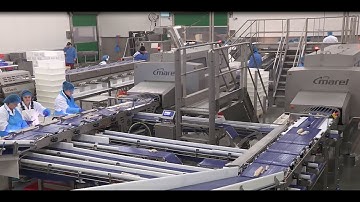 Case study: Dual FleXicut system at Vísir