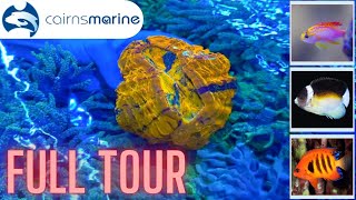 All the fish, all the coral - Cairns Marine!