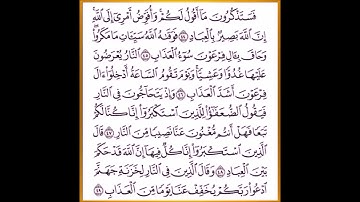سورة غافر من الآية 44 إلى الأية 52 بصوت الشيخ ياسر الدوسرى